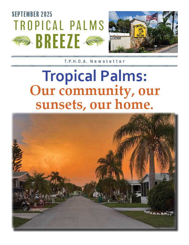 Tropical Palms